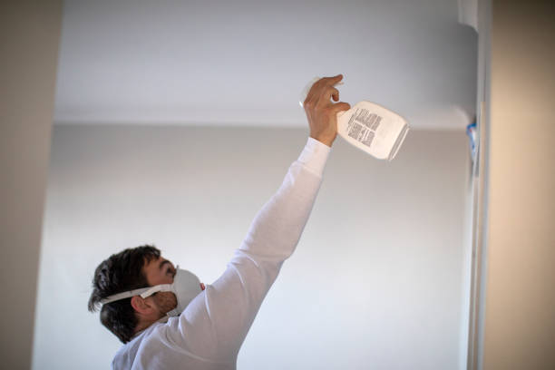 Best Certified Mold Removal  in Dover, NH
